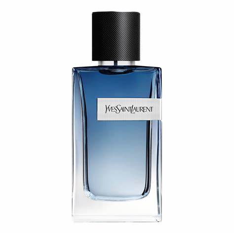 YSL Y Intense