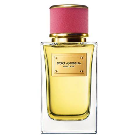 Dolce & Gabbana Velvet Rose